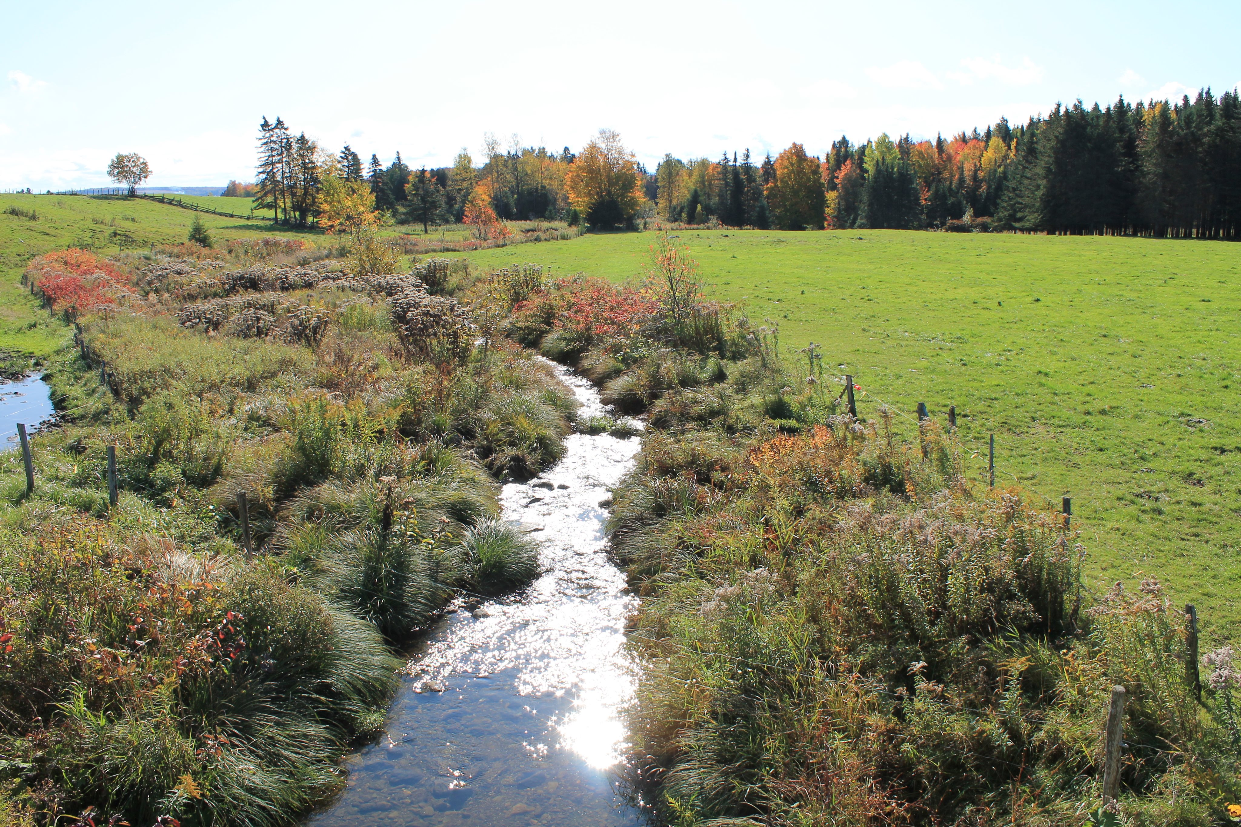 Paysage de rivière en automne